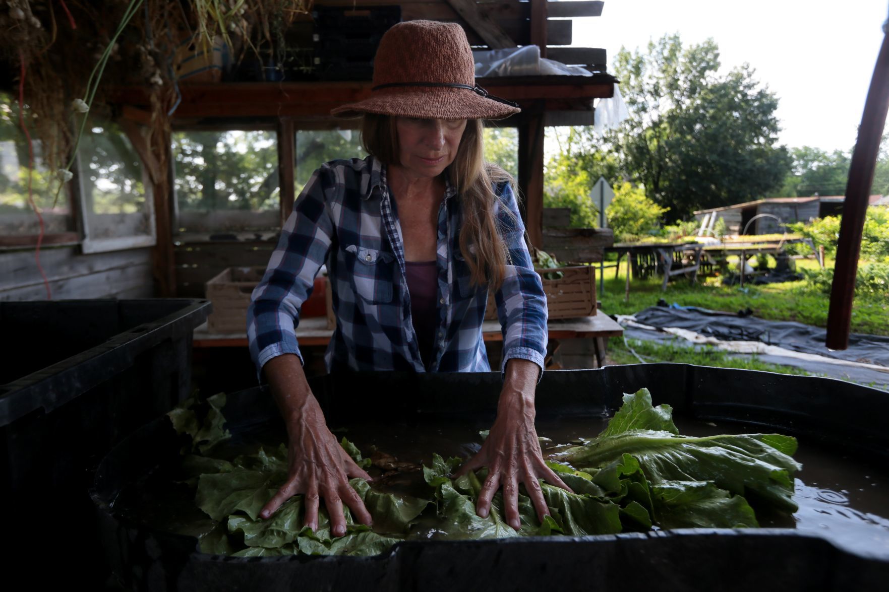 Seeds of Hope Farm in Spanish Lake offers income-tiered CSA shares